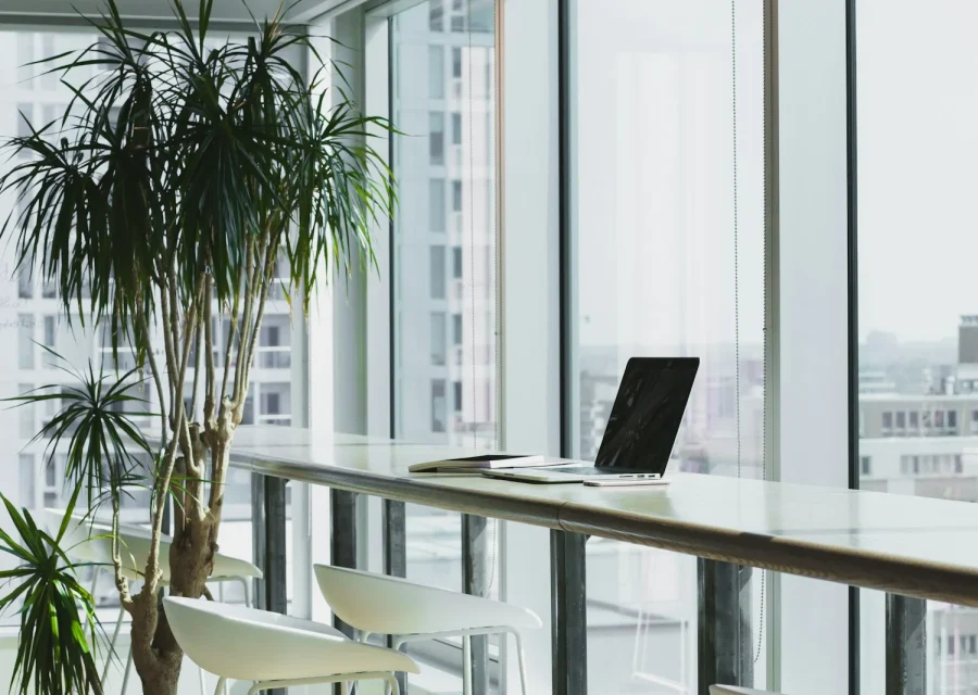 Deep work and focused desk space at Kolega